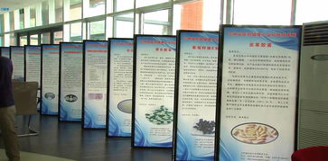 吉林省醫(yī)藥健康產(chǎn)業(yè)科技成果對(duì)接會(huì)圓滿落幕，科技中介服務(wù)賦能產(chǎn)業(yè)創(chuàng)新